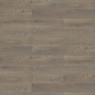 Picture of Shaw Contract - Branching Out Coretec 12MIL Pinecone Oak