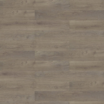 Picture of Shaw Contract - Branching Out Coretec 12MIL Pinecone Oak