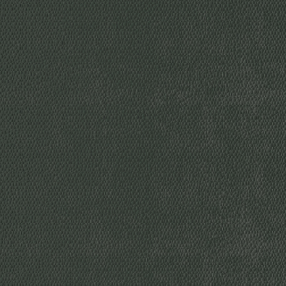 Picture of Burke - Colorscape Sculptured 36 x 36 QuickStix Dark Forest