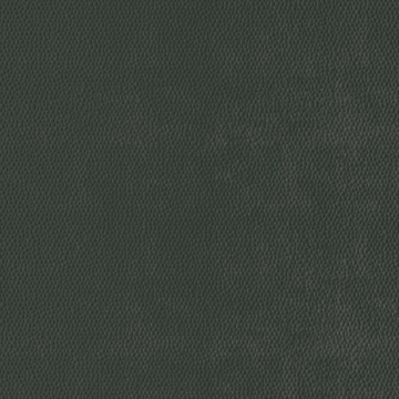 Picture of Burke - Colorscape Sculptured 36 x 36 QuickStix Dark Forest