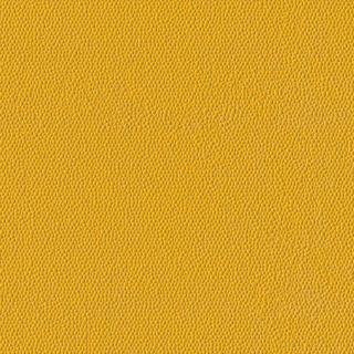 Picture of Burke - Colorscape Sculptured 36 x 36 QuickStix Daffodil