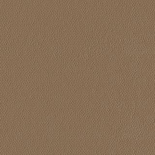 Picture of Burke - Colorscape Sculptured 36 x 36 QuickStix Ginger