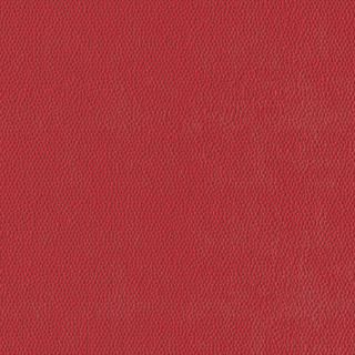 Picture of Burke - Colorscape Sculptured 36 x 36 QuickStix Geranium