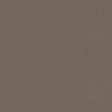 Picture of Burke - Colorscape Sculptured 36 x 36 QuickStix Moonbeam