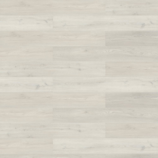 Picture of Shaw Contract - Branching Out Coretec 12MIL Rise Oak