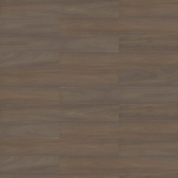 Picture of Shaw Contract - Branching Out Coretec 12MIL Ravine Oak