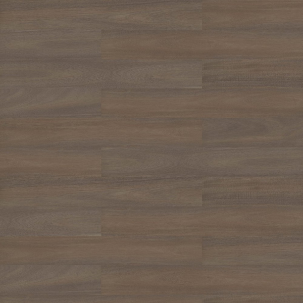 Picture of Shaw Contract - Branching Out Coretec 12MIL Ravine Oak