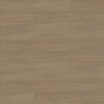 Picture of Shaw Contract - Branching Out Coretec 12MIL Zion Oak