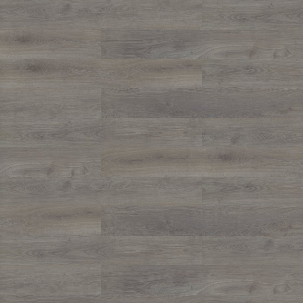 Picture of Shaw Contract - Branching Out Coretec 12MIL Traverse Oak