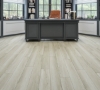 Picture of Chesapeake Flooring - MCore Plus Moonbeam