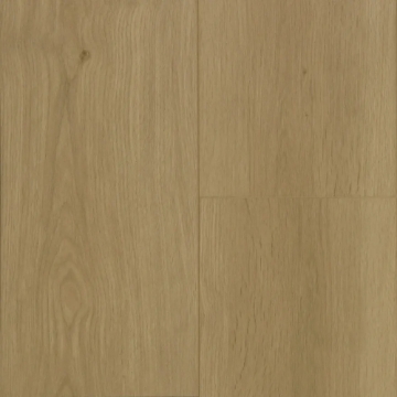 Picture of Chesapeake Flooring - MCore Plus Sunkissed