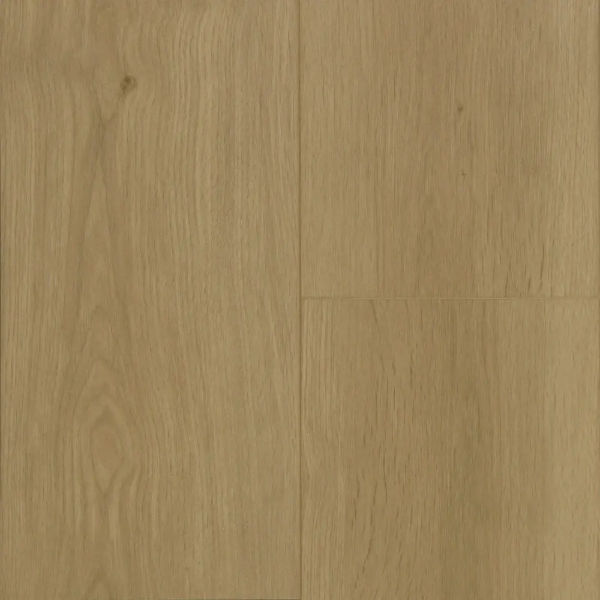Picture of Chesapeake Flooring - MCore Plus Sunkissed