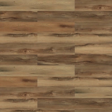 Picture of Shaw Contract - Respite Coretec Lodge