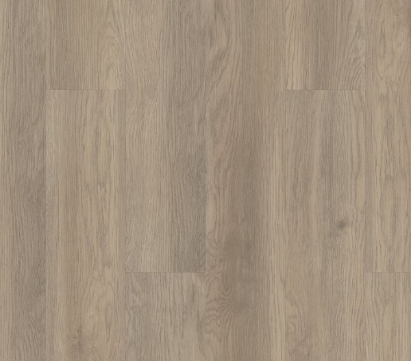 Picture of Philadelphia Commercial by Shaw - Indwell 20 Willow Oak