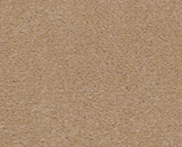 Picture of Philadelphia Commercial by Shaw - Emphatic II 36 Blondwood