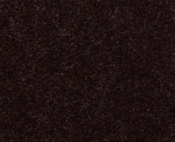 Picture of Philadelphia Commercial by Shaw - Emphatic II 36 Coffee Bean