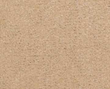 Picture of Philadelphia Commercial by Shaw - Emphatic II 36 Candlewick