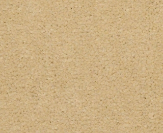 Picture of Philadelphia Commercial by Shaw - Emphatic II 36 Sun Valley