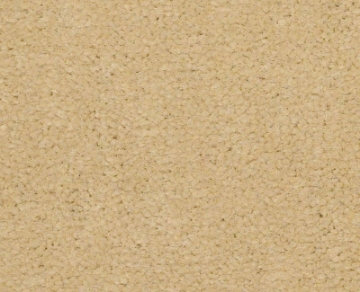 Picture of Philadelphia Commercial by Shaw - Emphatic II 36 Sun Valley