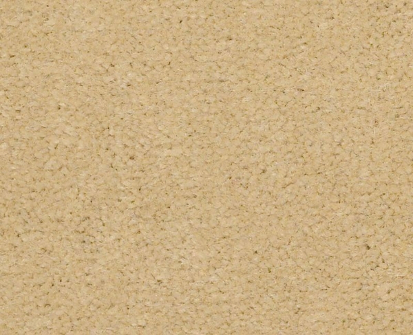 Picture of Philadelphia Commercial by Shaw - Emphatic II 36 Sun Valley