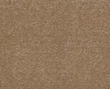 Picture of Philadelphia Commercial by Shaw - Emphatic II 36 Canyon Dust