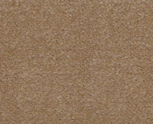 Picture of Philadelphia Commercial by Shaw - Emphatic II 36 Canyon Dust