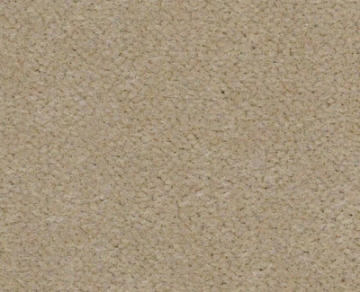 Picture of Philadelphia Commercial by Shaw - Emphatic II 36 White Gold