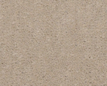 Picture of Philadelphia Commercial by Shaw - Emphatic II 36 Oatmeal