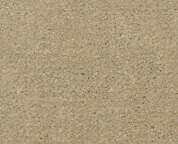 Picture of Philadelphia Commercial by Shaw - Emphatic II 36 Parchment