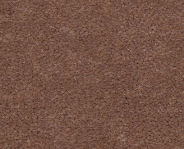 Picture of Philadelphia Commercial by Shaw - Emphatic II 36 Koala