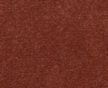 Picture of Philadelphia Commercial by Shaw - Emphatic II 36 Sundance