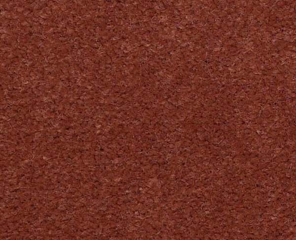 Picture of Philadelphia Commercial by Shaw - Emphatic II 36 Sundance