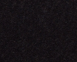 Picture of Philadelphia Commercial by Shaw - Emphatic II 36 Coal Mine