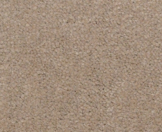 Picture of Philadelphia Commercial by Shaw - Emphatic II 36 Timeless