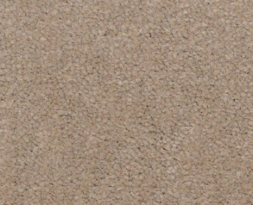 Picture of Philadelphia Commercial by Shaw - Emphatic II 36 Timeless