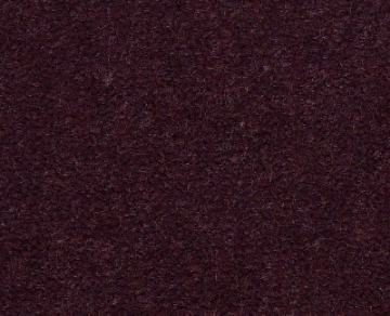 Picture of Philadelphia Commercial by Shaw - Emphatic II 36 Perfect Pl