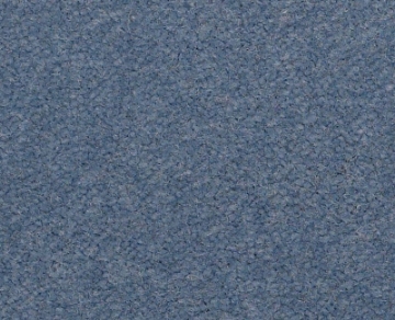 Picture of Philadelphia Commercial by Shaw - Emphatic II 36 Holland Blue