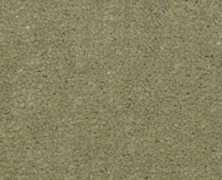 Picture of Philadelphia Commercial by Shaw - Emphatic II 36 Island Green