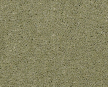 Picture of Philadelphia Commercial by Shaw - Emphatic II 36 Island Green