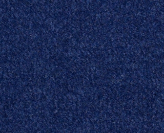 Picture of Philadelphia Commercial by Shaw - Emphatic II 36 Newport