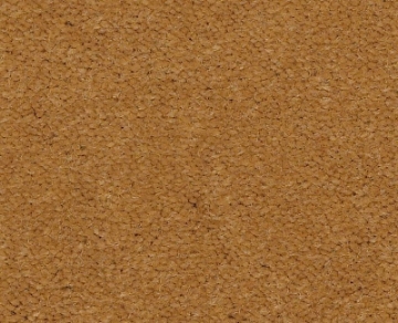 Picture of Philadelphia Commercial by Shaw - Emphatic II 36 Gold Coast