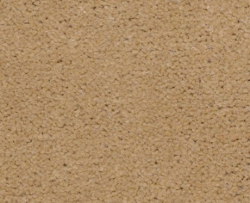 Picture of Philadelphia Commercial by Shaw - Emphatic II 36 South Beach