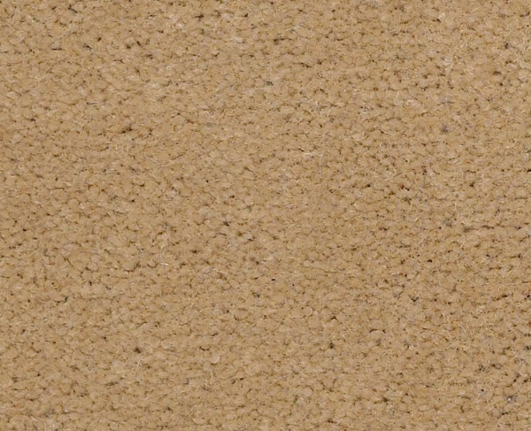 Picture of Philadelphia Commercial by Shaw - Emphatic II 36 South Beach