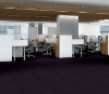 Picture of Philadelphia Commercial by Shaw - Emphatic II 36 Amethyst
