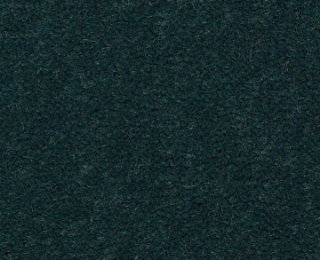 Picture of Philadelphia Commercial by Shaw - Emphatic II 36 Capri