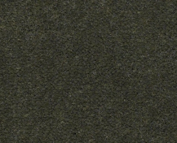 Picture of Philadelphia Commercial by Shaw - Emphatic II 36 Thyme