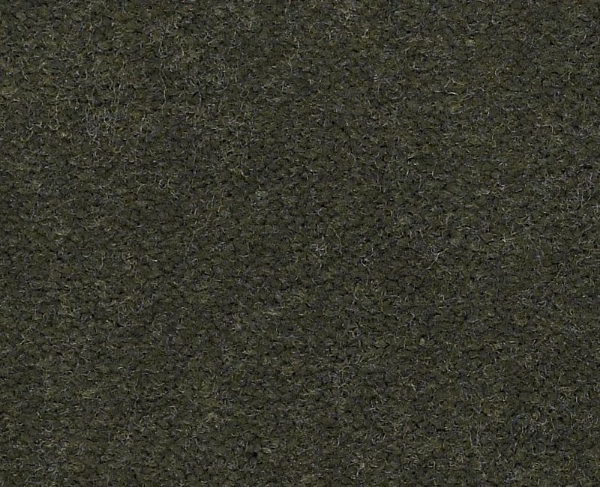 Picture of Philadelphia Commercial by Shaw - Emphatic II 36 Thyme