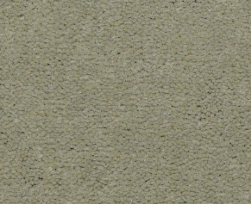 Picture of Philadelphia Commercial by Shaw - Emphatic II 36 Dew Green