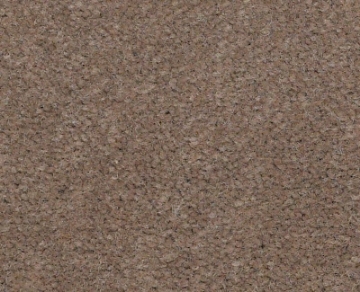 Picture of Philadelphia Commercial by Shaw - Emphatic II 36 Smokey