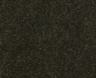 Picture of Philadelphia Commercial by Shaw - Emphatic II 36 Artichoke